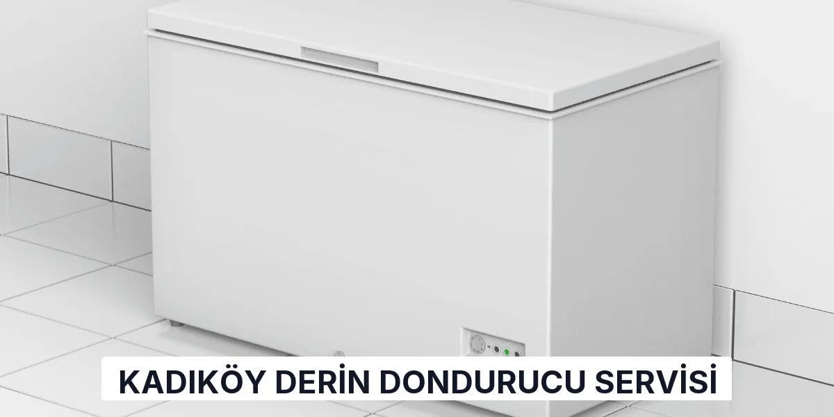 Kadıköy Derin Dondurucu Servisi