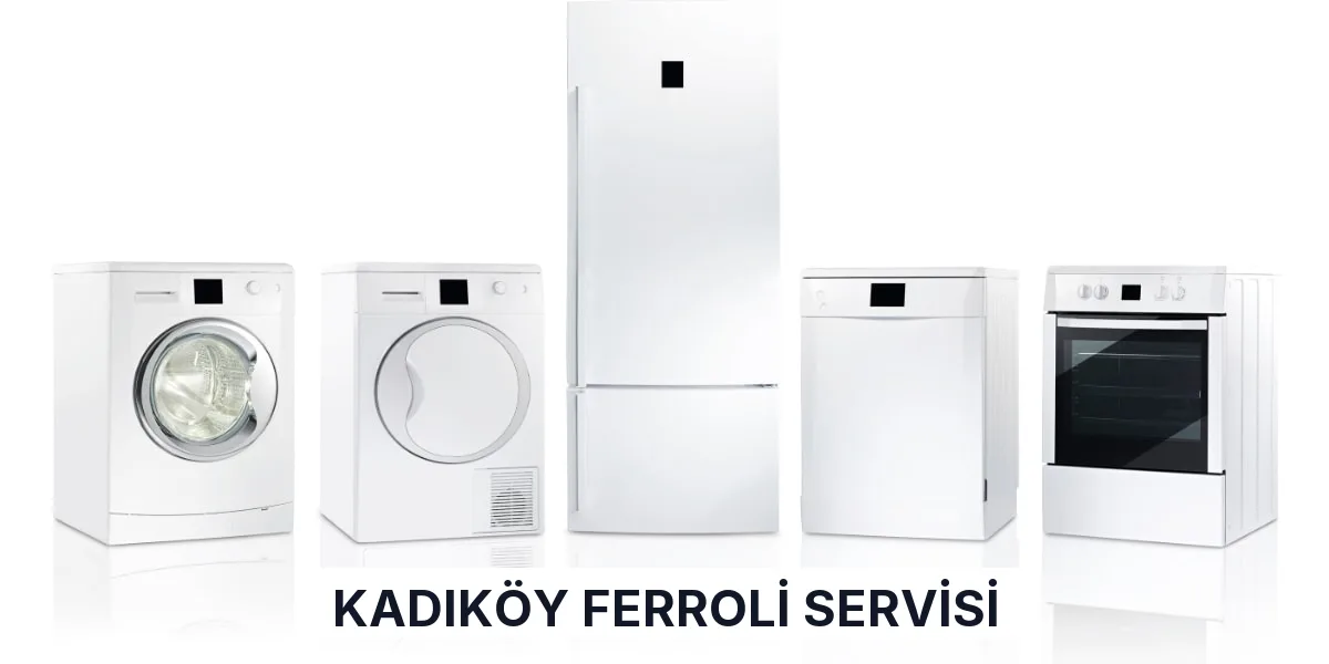 Kadıköy Ferroli Servisi